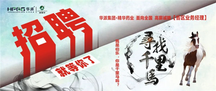 寻找千里马 | 华派集团&bull;EMC易倍药业面 向全国高薪诚聘【省区业务经理】 我是伯乐，你是千里马吗？