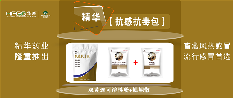 科普：几种常见畜禽感冒与盛行性感冒的防控 |【抗感抗毒包】抗菌消炎、解热排毒、抗毒增免，畜禽风热感冒、盛行感冒首选!