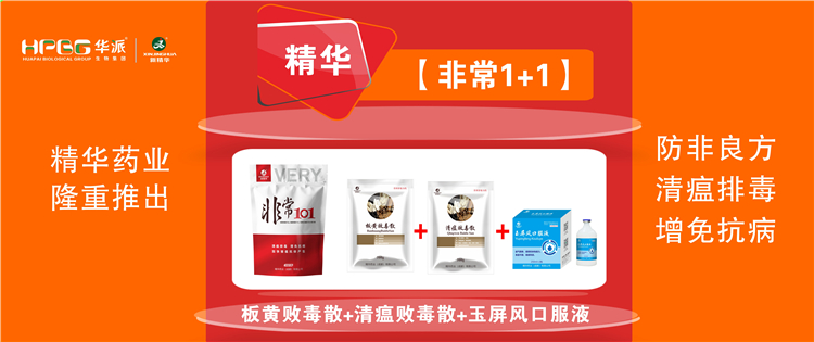 科普：非洲猪瘟防控措施 |【极度1+1】防非良方, 清瘟排毒、增免抗病，加快猪瘟抗体产生!
